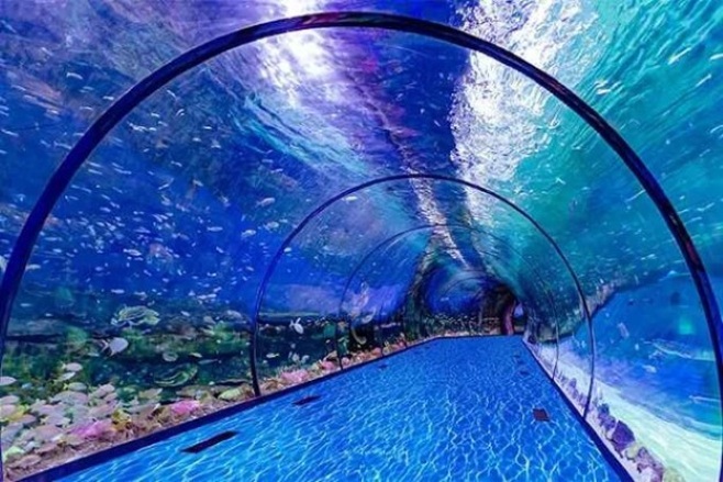 A panoramic view of the central aquatic tunnel