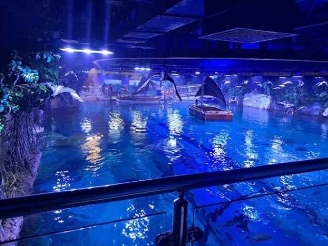 Offering a thrilling aerial view of the main ocean tank